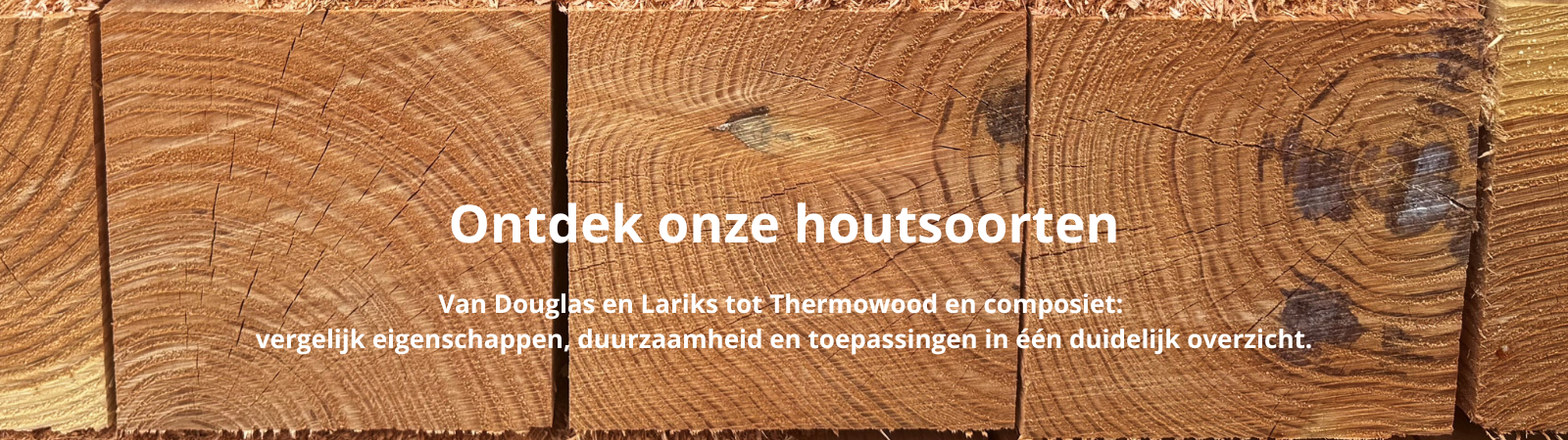 ontdek onze houtsoorten