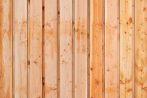 schutting douglas 21