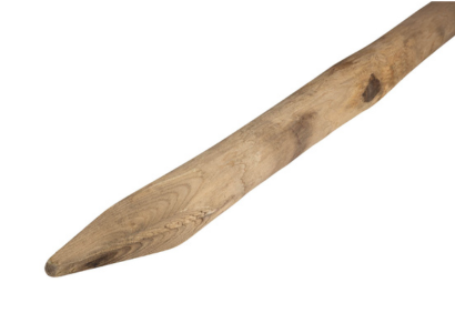 Tamme Kastanje Ø 10/12 cm geschild - 400 cm