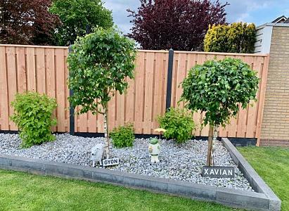 Douglas tuinscherm | 19 planks | 180x180 cm | 16x140 mm