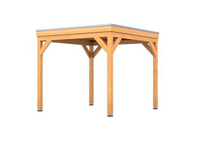 Douglas overkapping | 302 x 292 cm | Origin 1