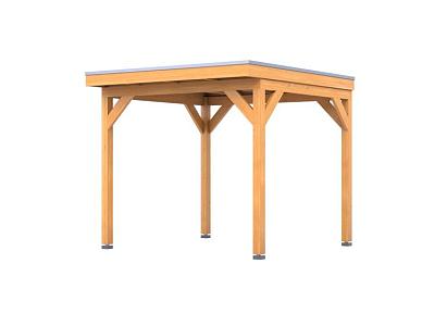 Douglas overkapping | 302 x 292 cm | Pure 1