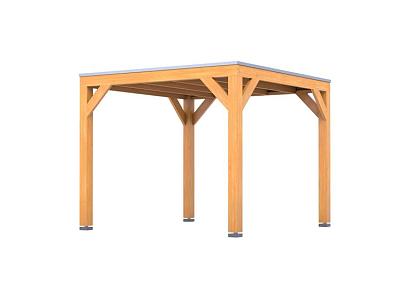 Douglas overkapping | 307 x 297 cm | Living 1