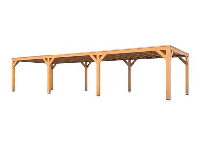 Douglas overkapping | 407 x 1169 cm |  Living 1