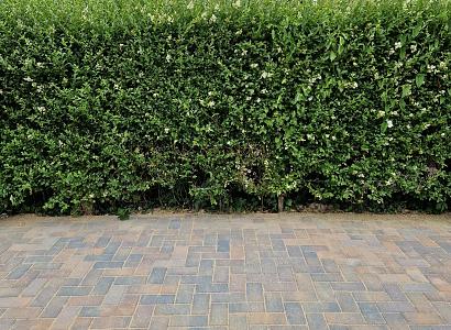 Betonstraatsteen 6 cm oud bussum komo