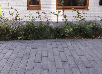 Longstone opritsteen 7 cm antraciet