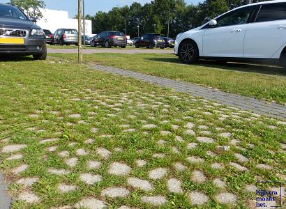 Keigrassteen WaterWijs 45x45x10 cm grijs