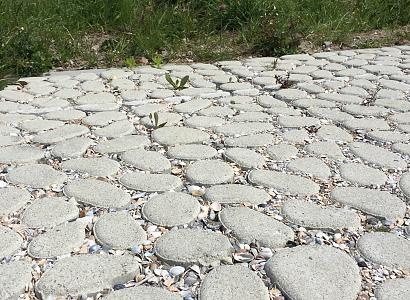 Keigrassteen WaterWijs 45x45x10 cm grijs