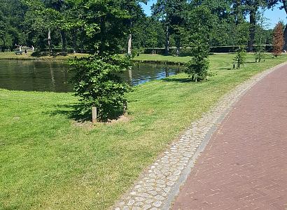 Keigrassteen WaterWijs 45x45x10 cm grijs