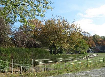 Keigrassteen WaterWijs 45x45x10 cm antraciet