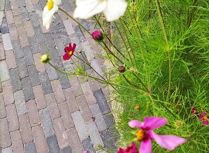 Stonique trommel dikformaat 6 cm siepatico