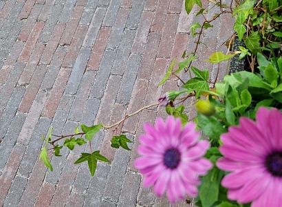 Stonique trommel waalformaat 7 cm groningerbruin