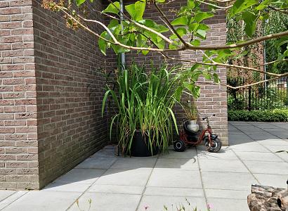 Tegel 50x50x5 cm grijs komo