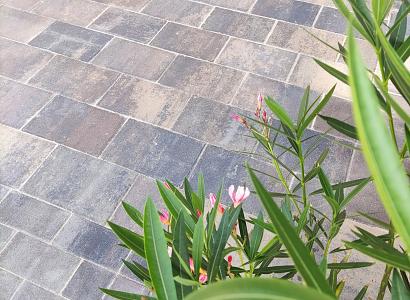 Straksteen 20x30x5 cm chelsea