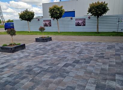 Straksteen 20x30x6 cm oud drachten