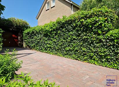 Stonique trommel longstone 7 cm oud emmen