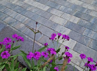 Patio brick 6 cm ocean TOP komo