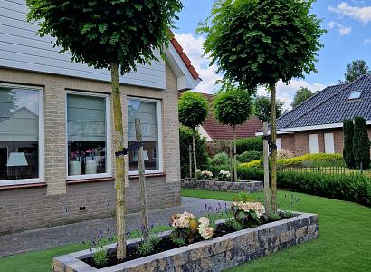 Splitrock 32x13x11 cm 2.0 musselkalk