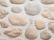 Pareti Naturali Boulders corner Plata Multisize (doos à ca. 1 m1)